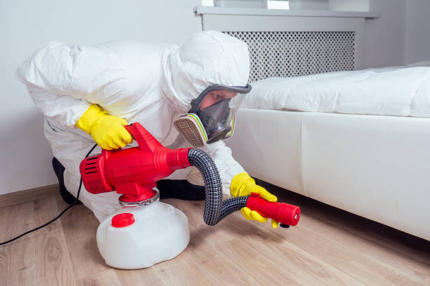 Best Mosquito Control Services  in Vallejo, CA