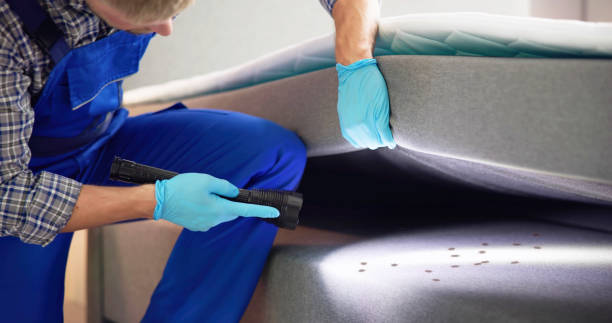 Best Cockroach Control Services  in Vallejo, CA