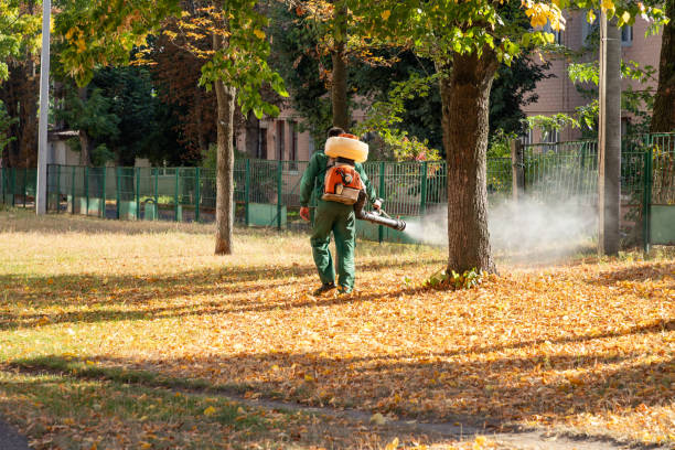 Best Commercial Pest Control Services  in Vallejo, CA